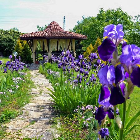 Park Hotel Djevana Gorna Orjachowica Zewnętrze zdjęcie
