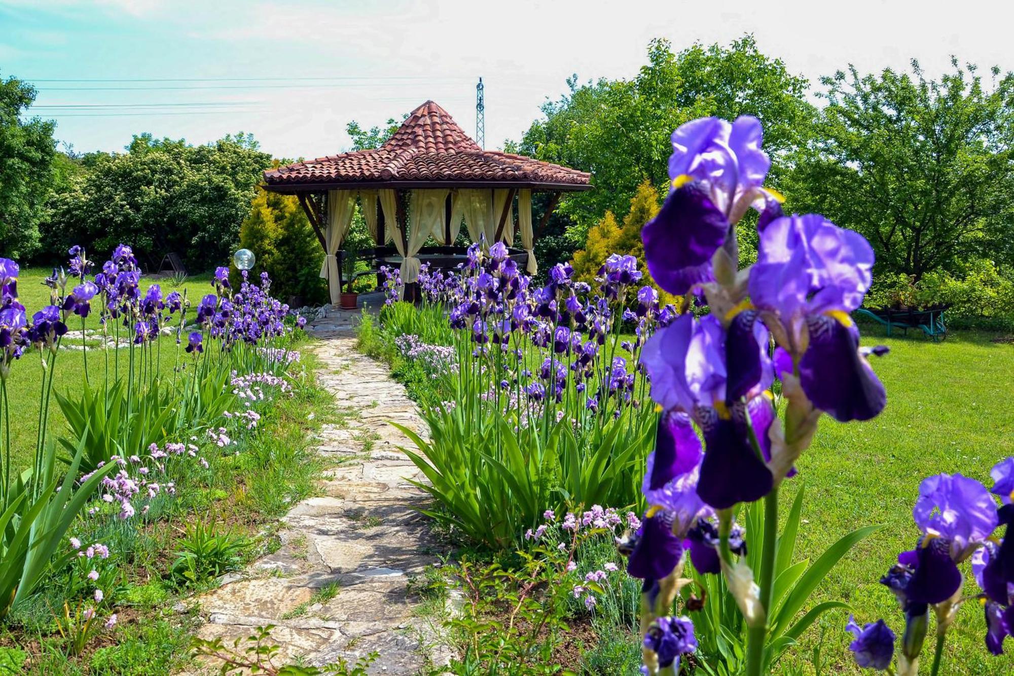 Park Hotel Djevana Gorna Orjachowica Zewnętrze zdjęcie